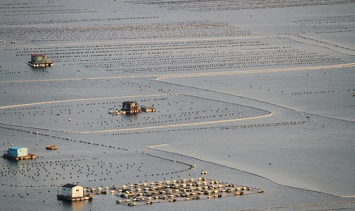 養(yǎng)殖水質(zhì)檢測(cè)儀專業(yè)應(yīng)用于檢測(cè)水產(chǎn)養(yǎng)殖指標(biāo)的專業(yè)儀器