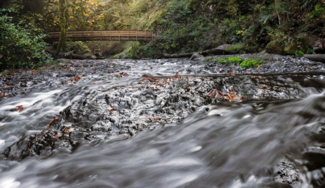 自來水公司為什么要用水質在線監測儀?(自來水水質檢測設備)