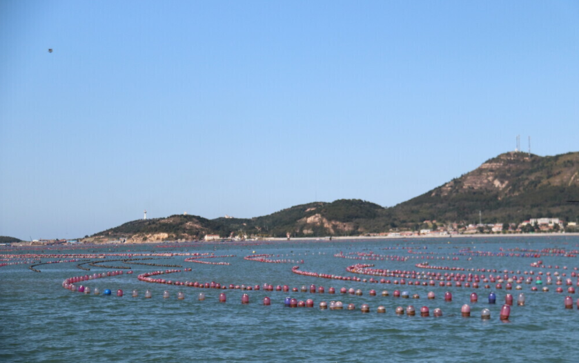 養(yǎng)魚(yú)專業(yè)水質(zhì)檢測(cè)儀什么品牌好？