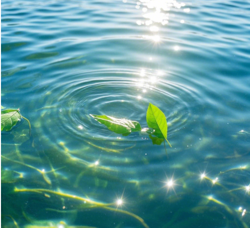 手持水質檢測儀可檢測的項目（萊恩德手持水質檢測儀的優點）